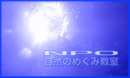 NPOR̂߂݋